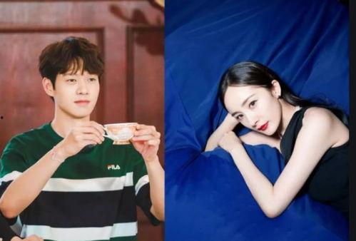 moco杨幂最新爆料,Moco世界揭开神秘面纱 第1张 moco杨幂最新爆料,Moco世界揭开神秘面纱 第1张